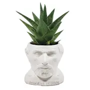 Unemployed Philosophers Guild Vincent Van Gogh Planter Herb/Plant Pot 9cm WHT