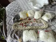 Macrame tan and white belt and 8 macrame belt kits