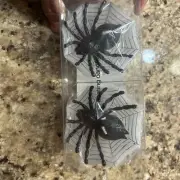 Halloween Spider Floating Candle Set of 2 Party Decor Black White Web Shaped