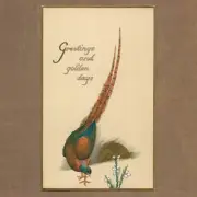 Used Antique 1925 RAPHAEL TUCK & SONS Christmas Greeting Card, Embossed Pheasant