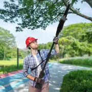 Cordless Battery Pole Chain Saw Electric Chainsaw Tree Pruner Trimmer Adjustable