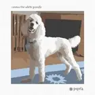 Cosmo The White Poodle Needlepoint Kit or Canvas