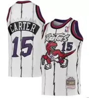 Youth Vince Carter Toronto Raptors Mitchell & Ness Hardwood Classics Jersey