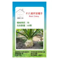 在飛比找momo購物網優惠-【蔬菜工坊】F17.根芹菜種子(神香草.海壽花)