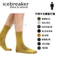 在飛比找momo購物網優惠-【Icebreaker】男 中筒中毛圈健行襪- IB1051