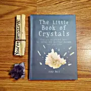 1-1.5" Amethyst Cluster w/ The Little Book of Crystals by Judy Hall plus Palo