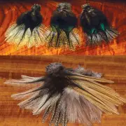 COQ DE LEON FEATHERS - Fly Tying Tailing Material by Hareline - 12 Per Pack NEW!