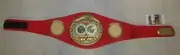 MIKE TYSON Hand Signed IBF Fullsize Belt + JSA COA "BUY GENUINE TYSON '