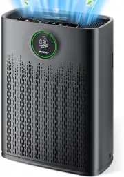 ECOSELF HAP603 Smart Air Purifier PM2.5 Display Sleep Mode for Home 1295 Ft²
