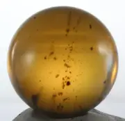 FINE! Calibrated AA Mexican Amber Sphere 27mmd