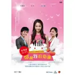 你是我的命運 (16DVD)