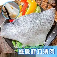 在飛比找鮮拾優惠-【鮮綠生活】(免運組)台灣金目鱸魚清肉(200-300克)共