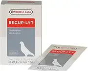Recup-LYT Electrolyte 12 Bags of 20g