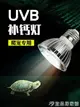 烏龜曬背燈烏龜曬背燈UVAUVB全光譜led太陽燈爬蟲照背燈龜缸燈補鈣三合一 交換禮物