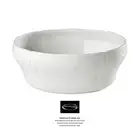 Antico doccia - Richard Ginori - Salad Bowl CMS 25 - Dealer