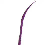 50" to 55" Reeves Pheasant Tail Feather - Cerise ((SECONDS))