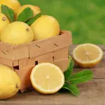 341-美國BRAMBLE BERRY-甜邁耶檸檬SWEET MEYER LEMON FRAGRANCE OIL