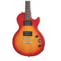 在飛比找蝦皮購物優惠-Epiphone Les Paul Special-II S