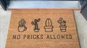 Ecosides No Pricks Allowed Doormat, Cactus Doormat, Custom Door Mat for Front Door, Personalized Doormat, Painted Doormat for Housewarming Gift