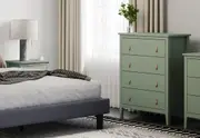 STANFORD Olive Green Tall Chest