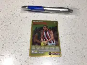 AFL PLAYERS CARD, DEMONS, PIES CATS DOGS EAGLES TIGERS POWER, LIONS DOCKERS BULL