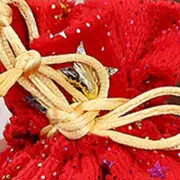 Holidays Made Bright 10pcs Sparkling Star Patterned Candy Bags for Easy ing