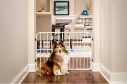 Carlson Pet Products Tuffy Metal Expandable Pet Gate, Includes Small Pet Door...