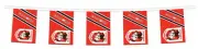 St George Illawarra Dragons NRL Bunting Hanging Flags Banner 5m with 12 flags