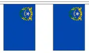 NEVADA U.S. STATE 3 metre BUNTING 10 FLAGS flag USA AMERICA AMERICAN