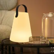Solar Portable LED Table Lamp Dimmable RGB Wireless 8 Colors Rechargeable Cordless Table Lamp -Style 3