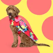 Bright Floral Outdoor Dog Jacket