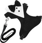 VANZACK 1 Set Dog Tuxedo Costume Harness with Adjustable Fit Integrated Leash Stylish Dog Wedding Suit for Breeds for Pet Owners Looking for Convenience and Control