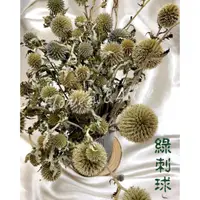 在飛比找蝦皮購物優惠-【信心花舍】藍星球 山防風 乾燥花 配草 捧花 盆花 花材 