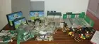 WOOLWORTHS BRICKS BULK PACK 3 / Lego / TRUCK QUAD Supermarket Veg Fruit Woolies