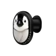 PowerThru Wireless Car Charger Wireless Car Charger MagSafe Compatible Penguin