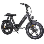 2025 TDE Elctric Fat Wheel tyre Bike 750w 48v 20x4.00 Ebike EMTB E-motorcyle blk