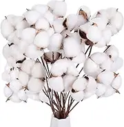 DomeStar 30PCS Natural Dried Cotton Stems, 15" Tall Cotton Sprigs for Vase Fillers DIY Crafts