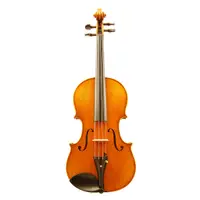 在飛比找蝦皮商城優惠-【路得提琴】澳洲KG中提琴100號15吋[二手]編號102