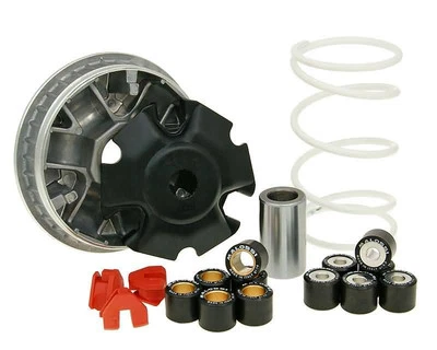 Aprilia SR Max 125ie Malossi Multivar Variator Kit