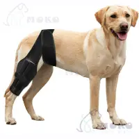 在飛比找蝦皮購物優惠-❤️MOKO❤️寵物狗狗關節護具 後腿 狗膝蓋護腿 寵物韌帶