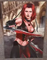 Bloodrayne Half Vampire Rayne Glossy Art Print 11 x 17 In Hard Plastic Sleeve