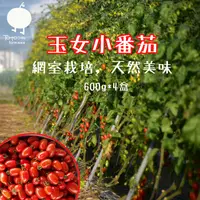 在飛比找台灣好農優惠-【踏踏青農場】玉女小番茄(600g/盒)x4