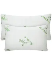 Fresh Fab Finds Set of 2 Hypoallergenic Bamboo Memory Foam Pillows