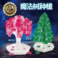 在飛比找蝦皮購物優惠-魔法樹 紙樹開花 澆水生長樹 櫻花樹 聖誕樹 DIY 生長樹