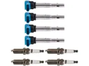 TRQ 39GT39C Ignition Coil and Spark Plug Kit Fits 2008-2009 Audi TT (for: Audi)