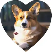 Fridge Magnet Smart Corgi Decorative Refrigerator Magnets Small Strong Magnets Cute Fridge Magnet Sticker Fridge Magnetic Whiteboard Magnets for Map Locker Kitchen Office