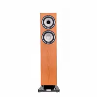 在飛比找Yahoo!奇摩拍賣優惠-TANNOY XT 6F| 新竹台北音響 | 台北音響推薦 