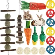16Pcs Rabbit Chew Toys Bunny Toys Set - for Teeth Small Animal Chew Toys, for Hamsters Rat Chinchilla Gerbils and Other Small Animal Teeth Grinding