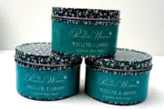 3 The Pioneer Woman Mistletoe & Juniper Figural Wax Melts 2.47oz