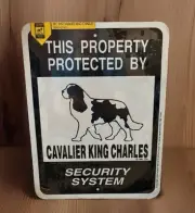 CAVALIER KING CHARLES SPANIEL Dog SIGN 9x12 Metal Aluminum “Property Protected”